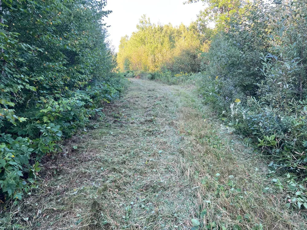 000 Dell Rd Finlayson, MN 55735