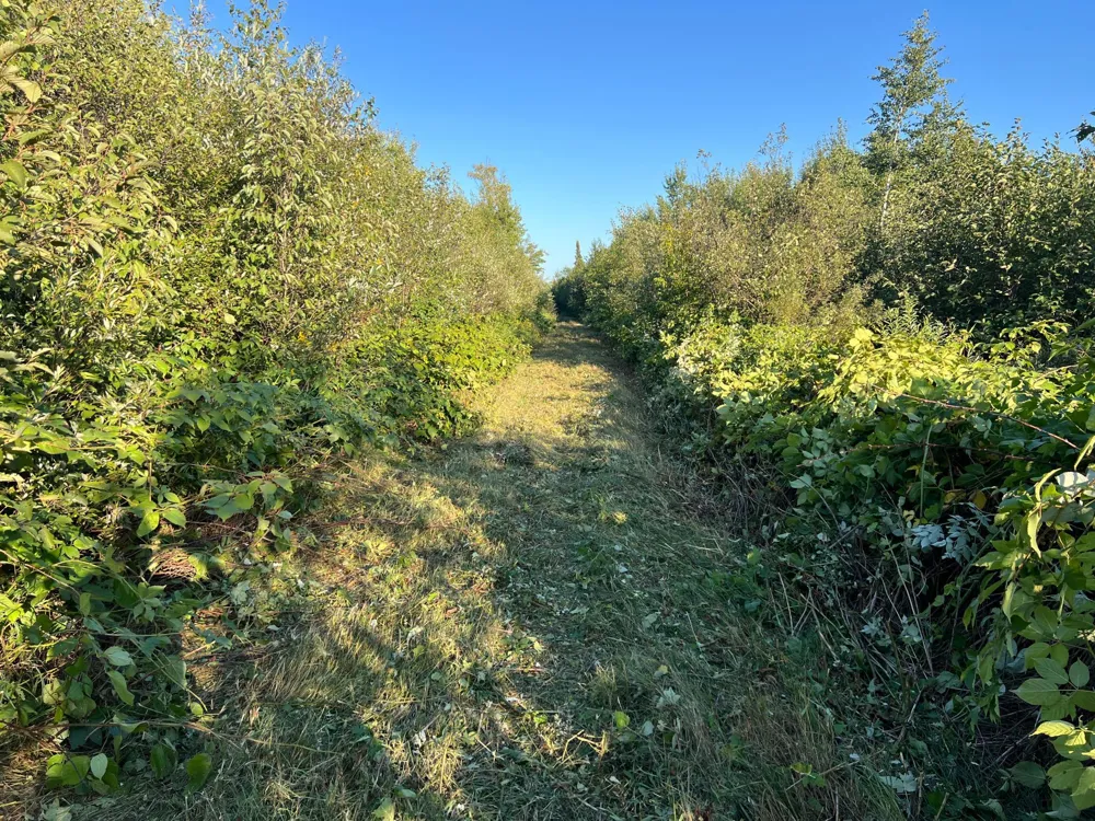 000 Dell Rd Finlayson, MN 55735