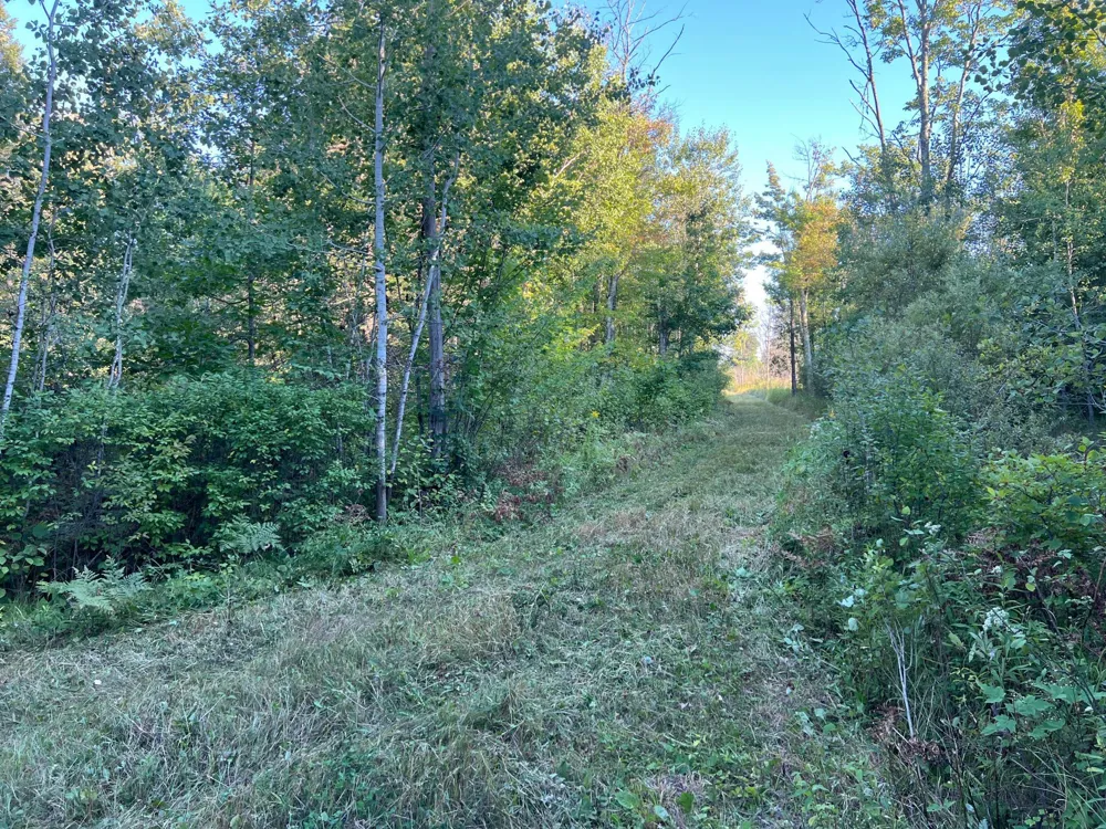 000 Dell Rd Finlayson, MN 55735