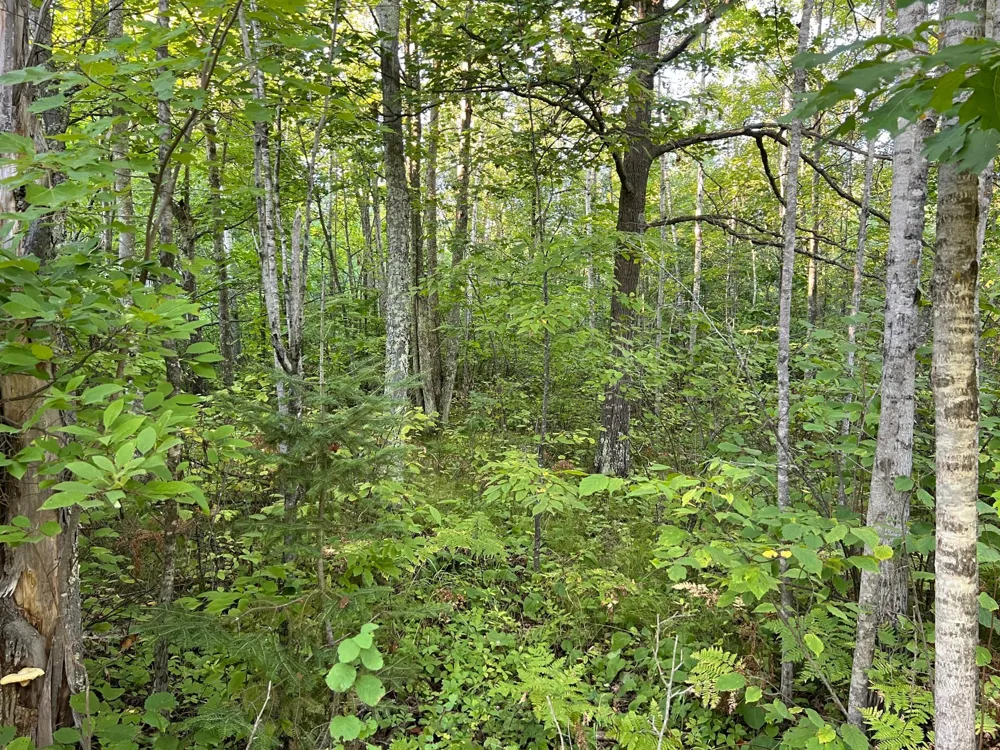 000 Dell Rd Finlayson, MN 55735