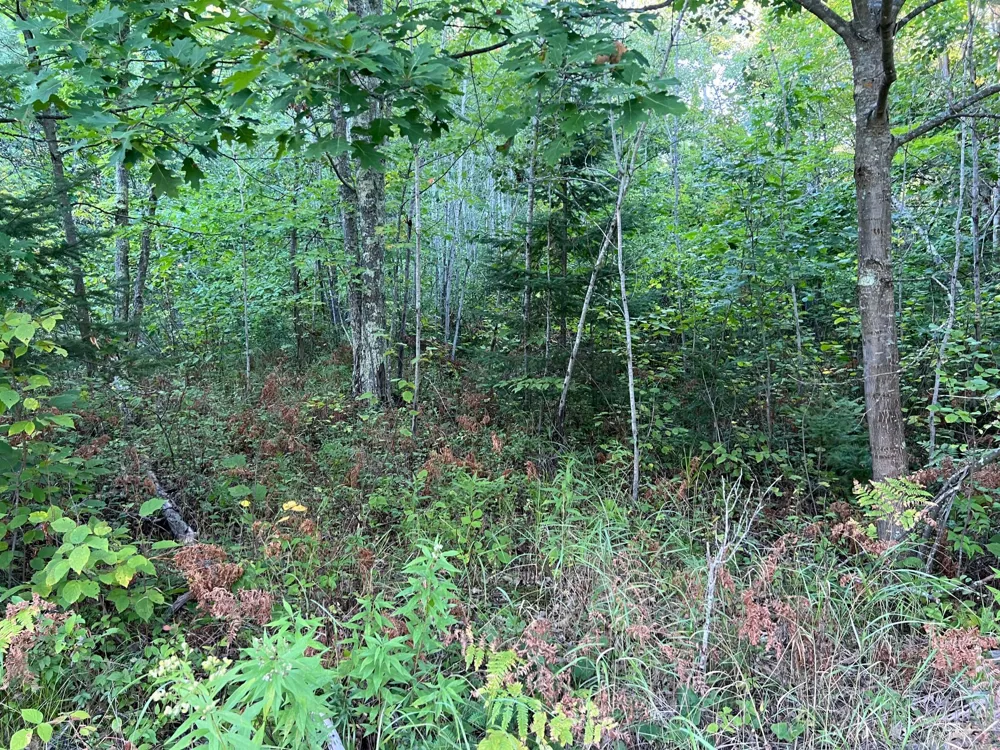 000 Dell Rd Finlayson, MN 55735