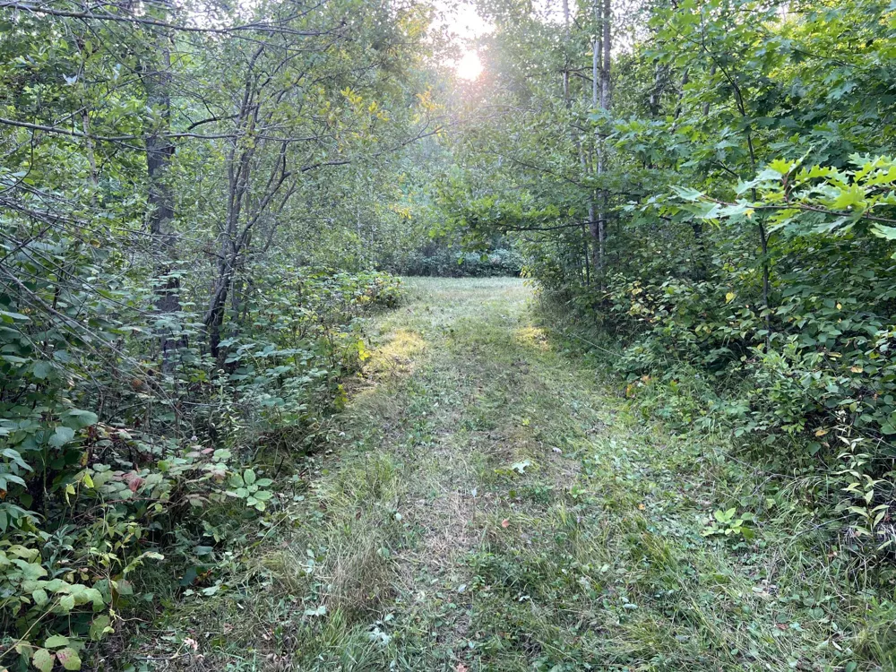 000 Dell Rd Finlayson, MN 55735