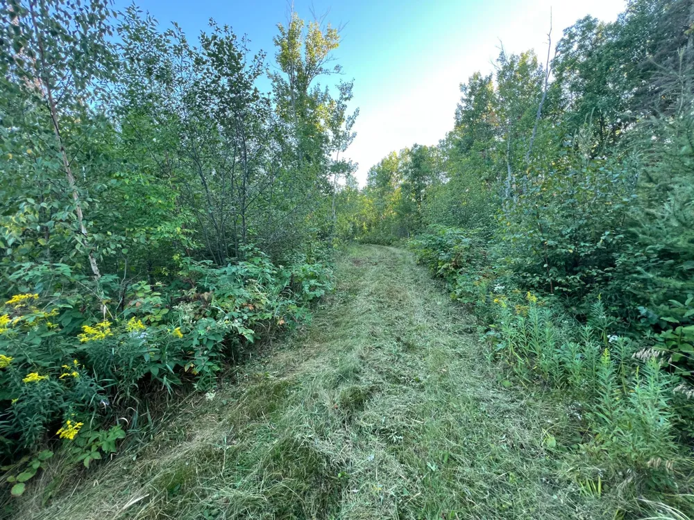 000 Dell Rd Finlayson, MN 55735