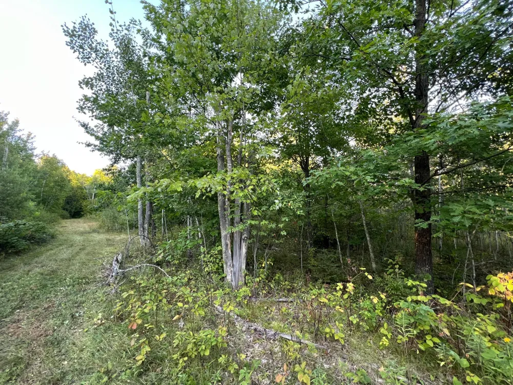 000 Dell Rd Finlayson, MN 55735