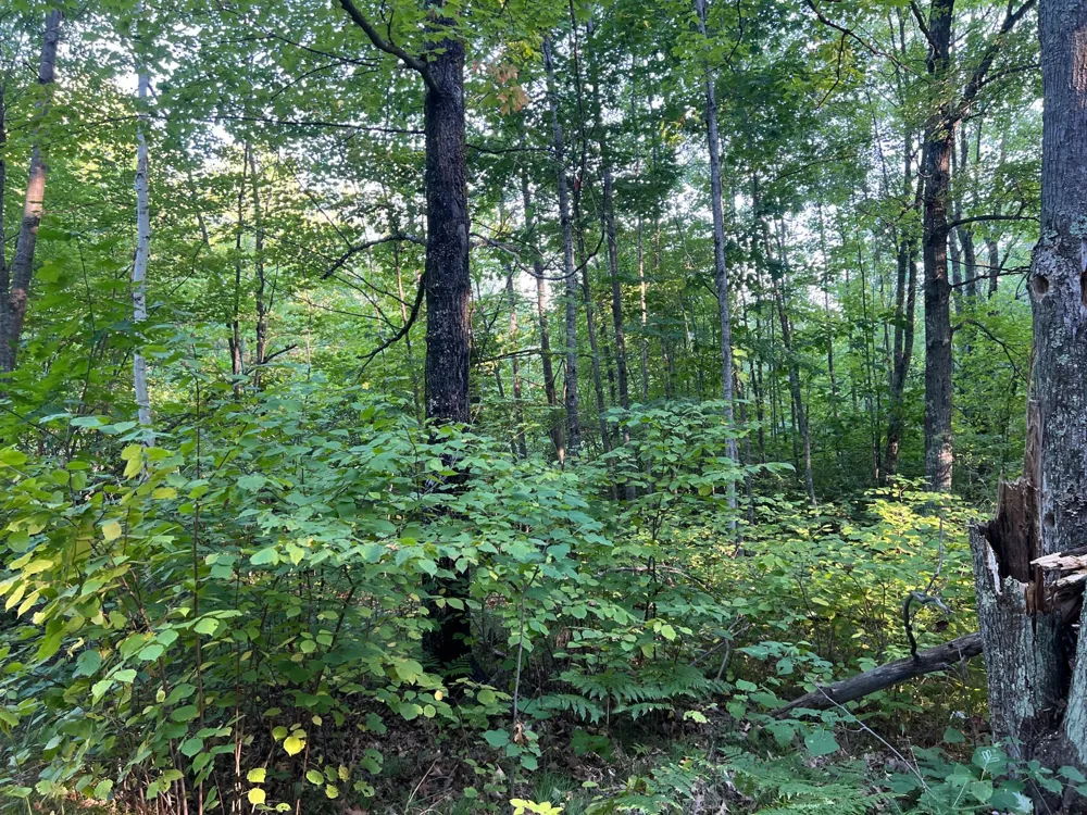 000 Dell Rd Finlayson, MN 55735