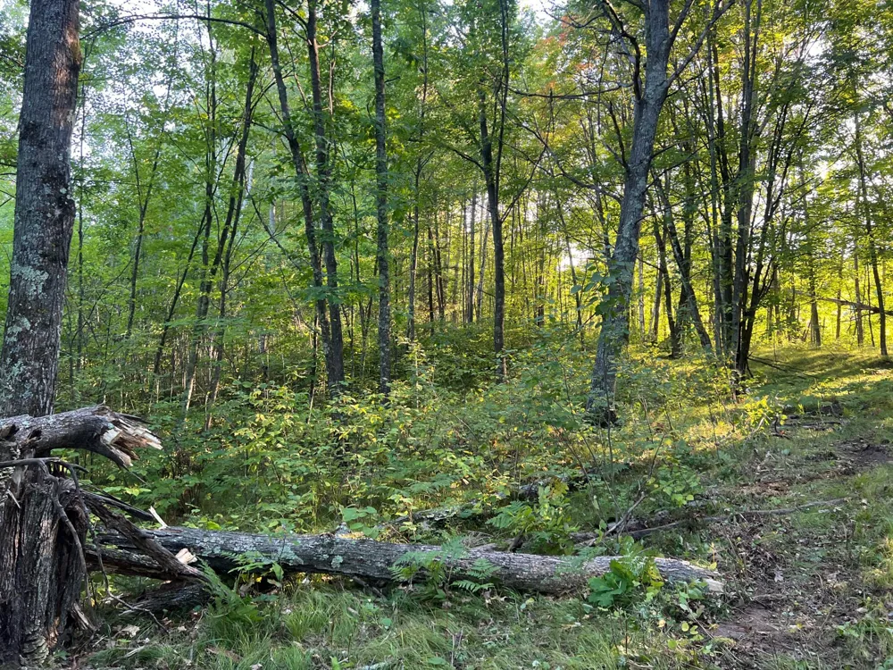 000 Dell Rd Finlayson, MN 55735