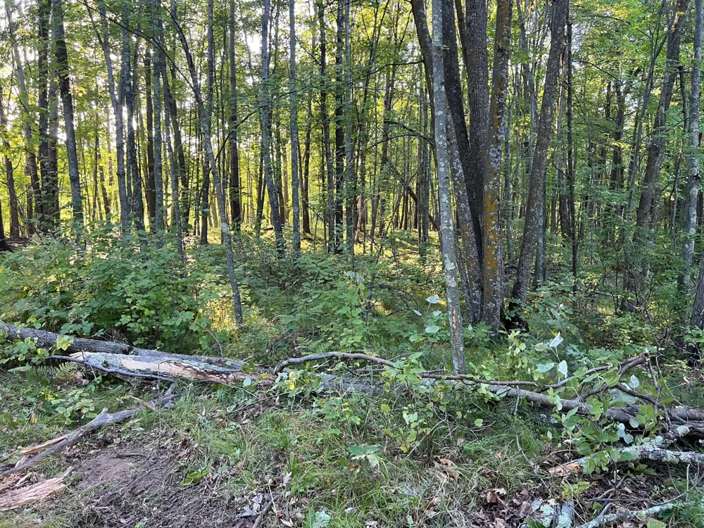 000 Dell Rd Finlayson, MN 55735