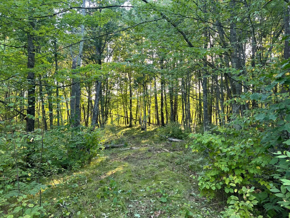 000 Dell Rd Finlayson, MN 55735