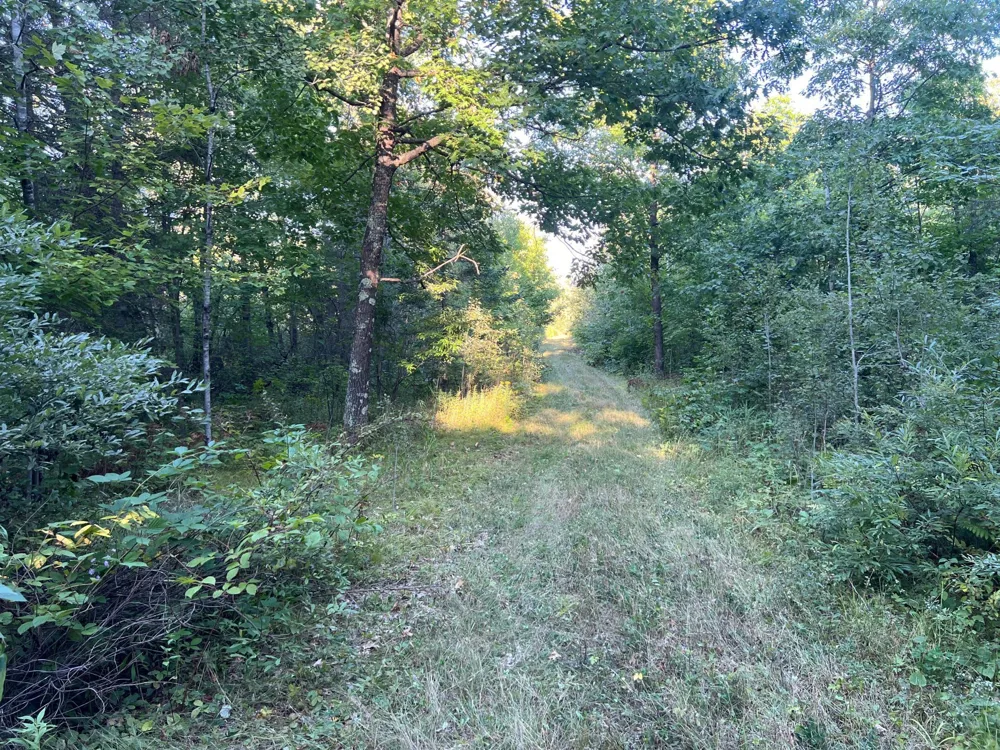 000 Dell Rd Finlayson, MN 55735