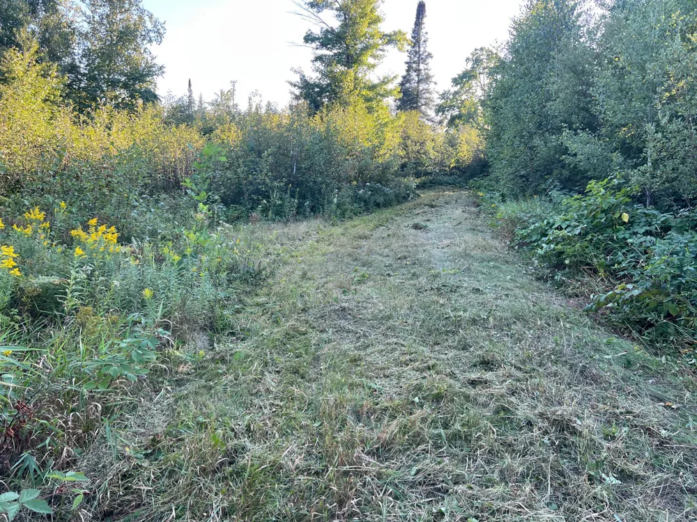 000 Dell Rd Finlayson, MN 55735