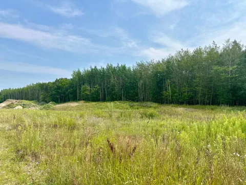 TBD-Lot 8 E Ottertail Road NW