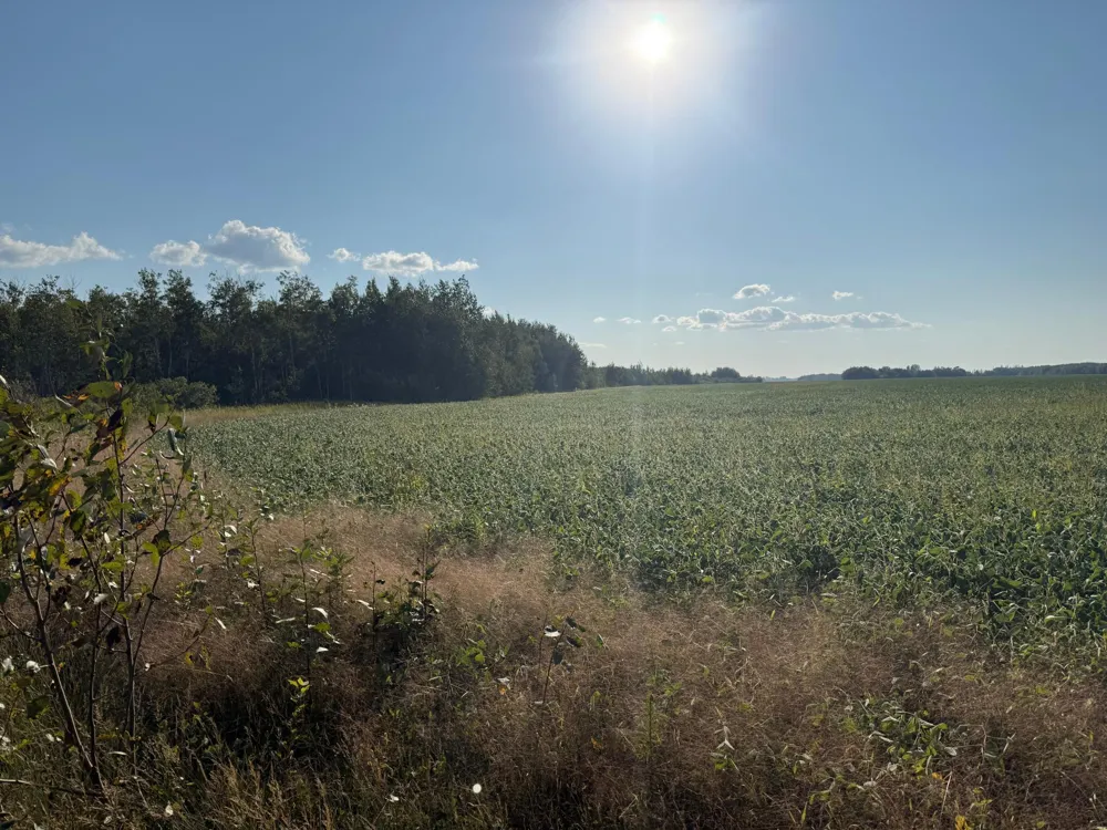 24247 County Road 15 Badger, MN 56714