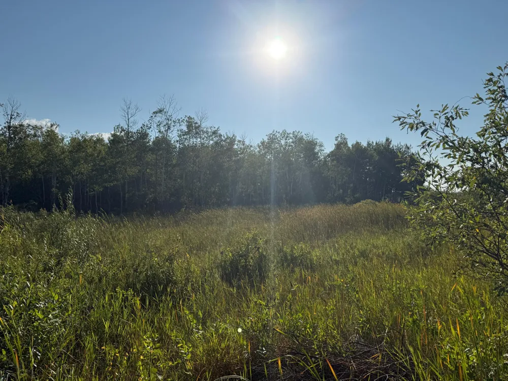 24247 County Road 15 Badger, MN 56714