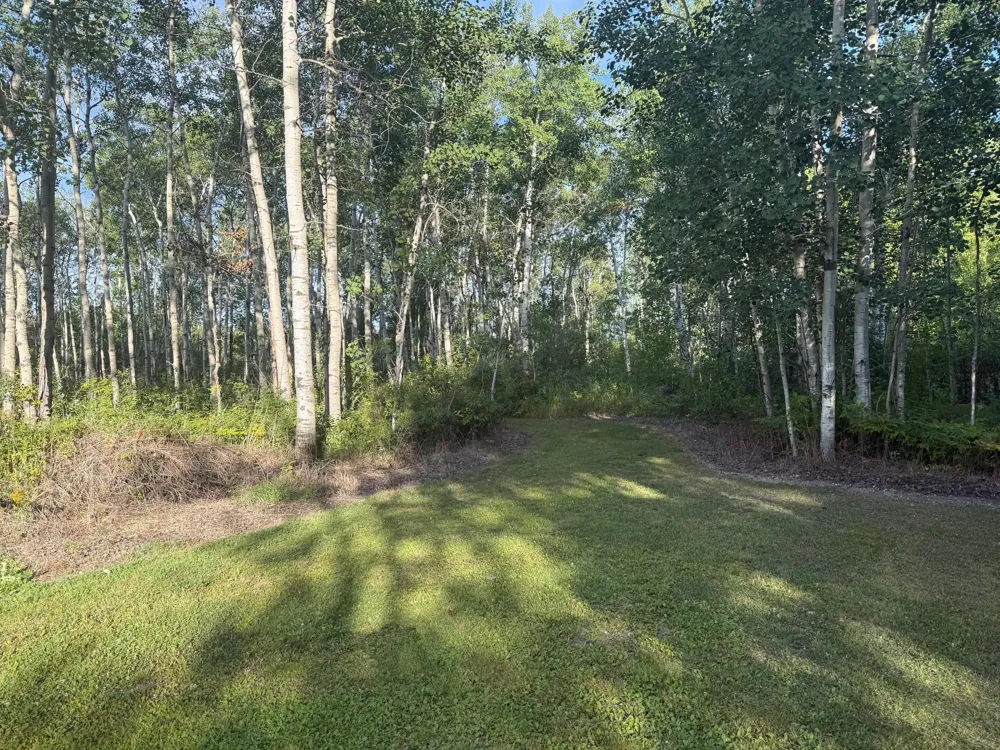 24247 County Road 15 Badger, MN 56714