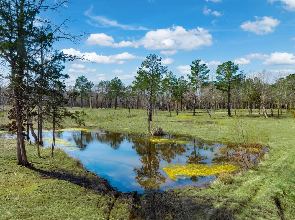 8779 Fm 768 Jacksonville, TX 75766