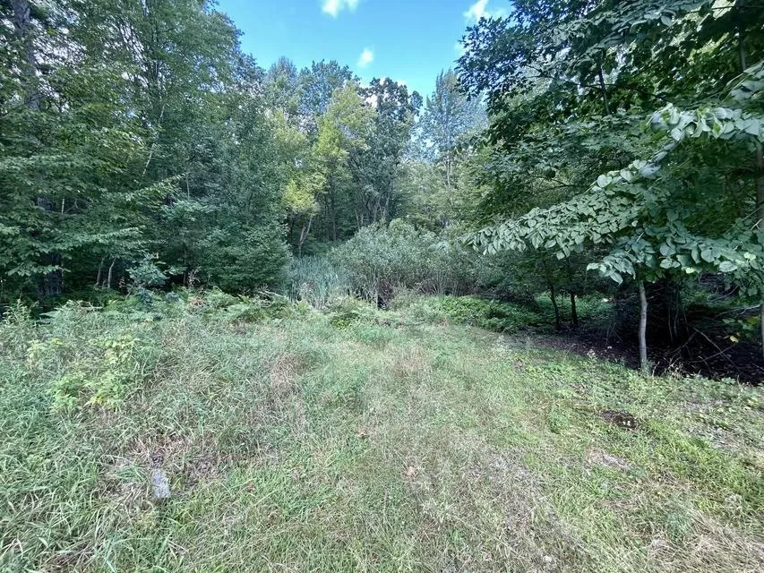 8836 Ora Lake Road Plainfield Township, MI 48739