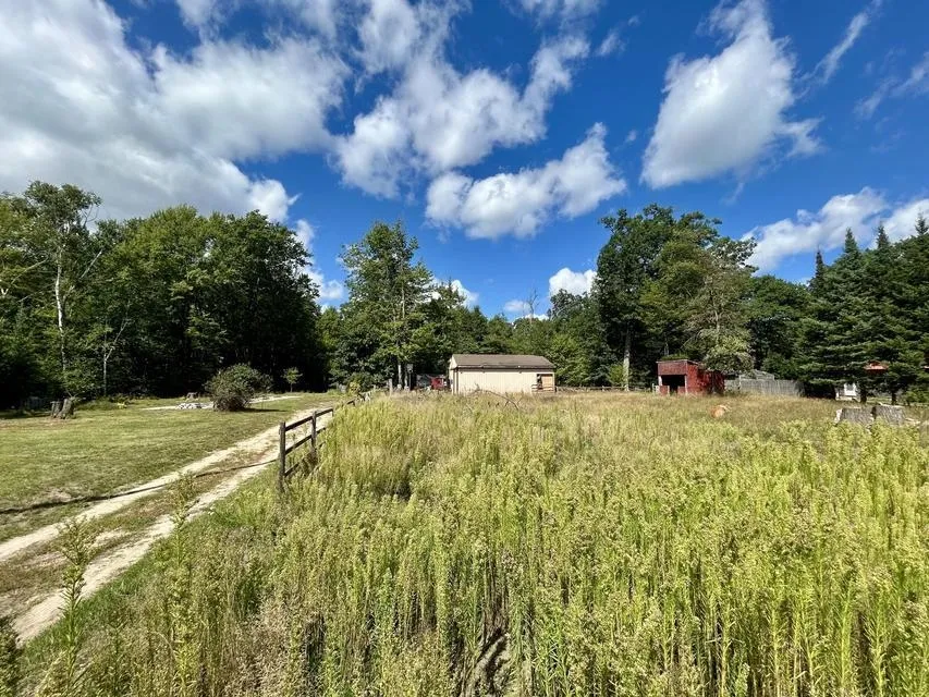 8836 Ora Lake Road Plainfield Township, MI 48739