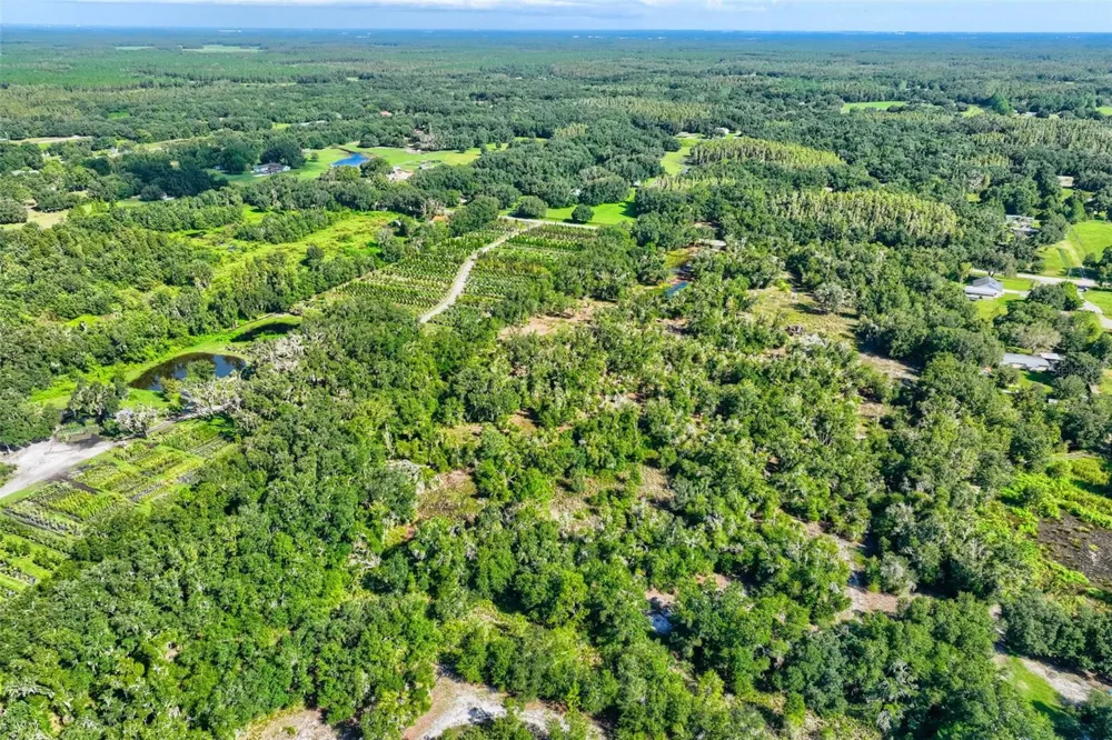 BRUTON ROAD Plant City, FL 33565