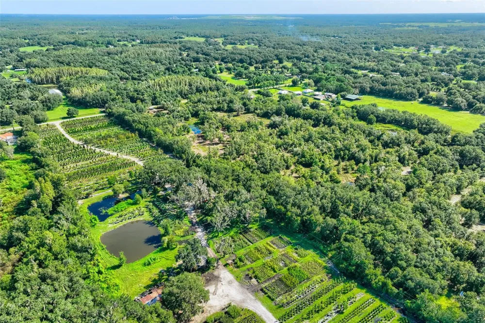 BRUTON ROAD Plant City, FL 33565