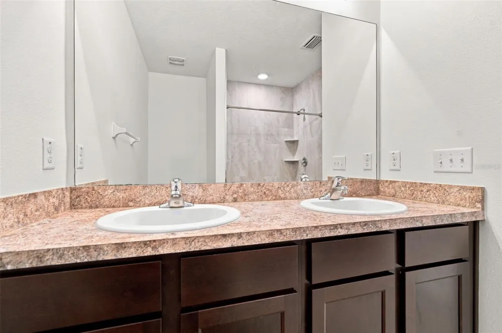 10920 CARLTON FIELDS DRIVE Riverview, FL 33579