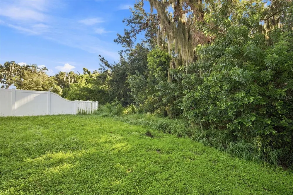 10920 CARLTON FIELDS DRIVE Riverview, FL 33579