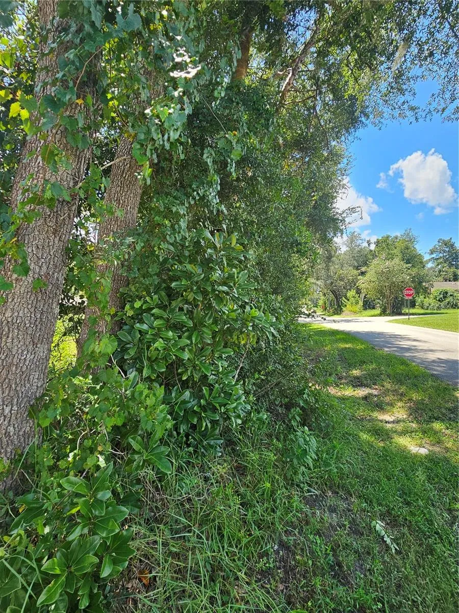 18TH STREET Orange City, FL 32763
