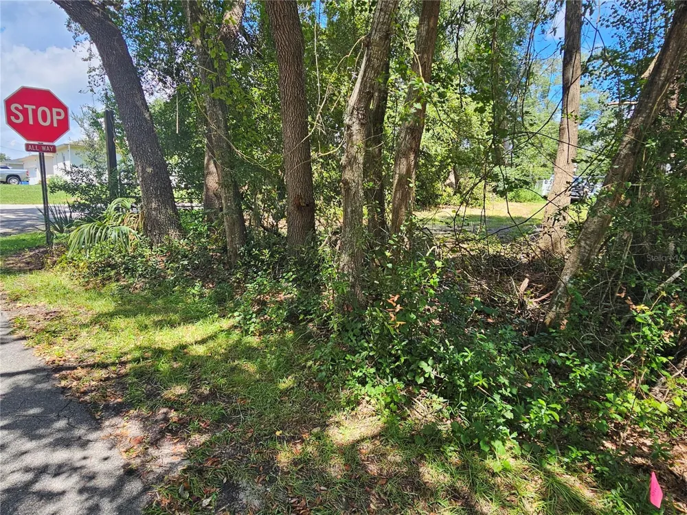 18TH STREET Orange City, FL 32763