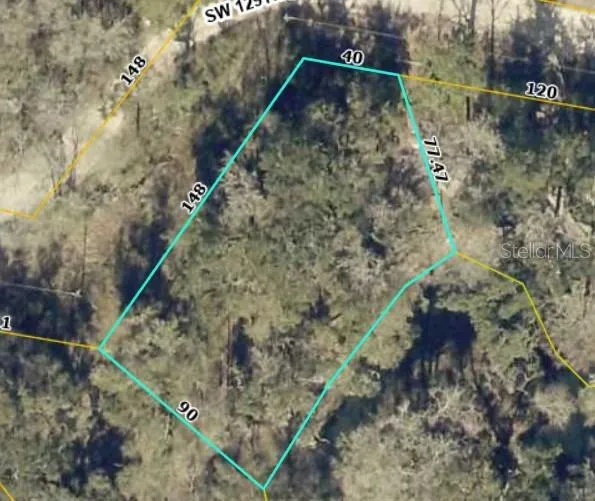 TBD2 SW 129TH BOULEVARD Webster, FL 33597