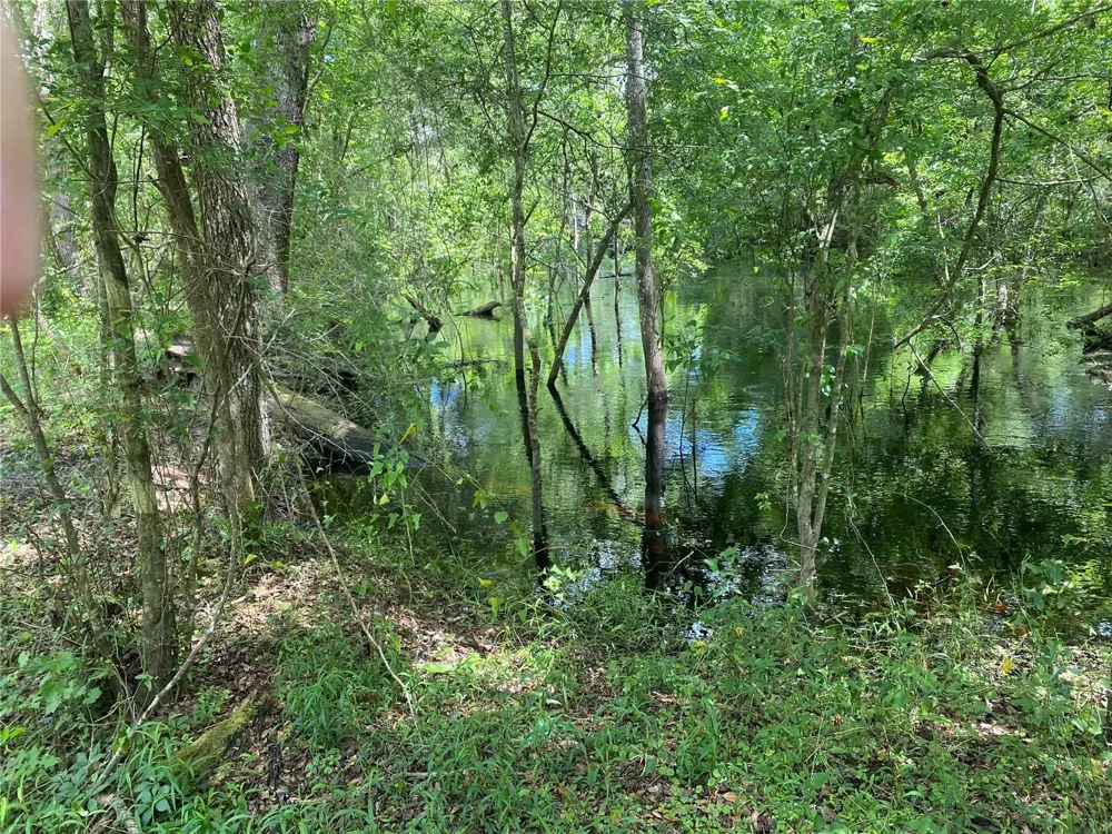 TBD2 SW 129TH BOULEVARD Webster, FL 33597