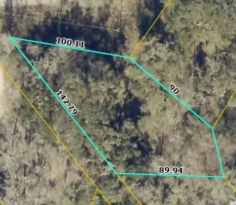TBD1 SW 129TH BOULEVARD Webster, FL 33597