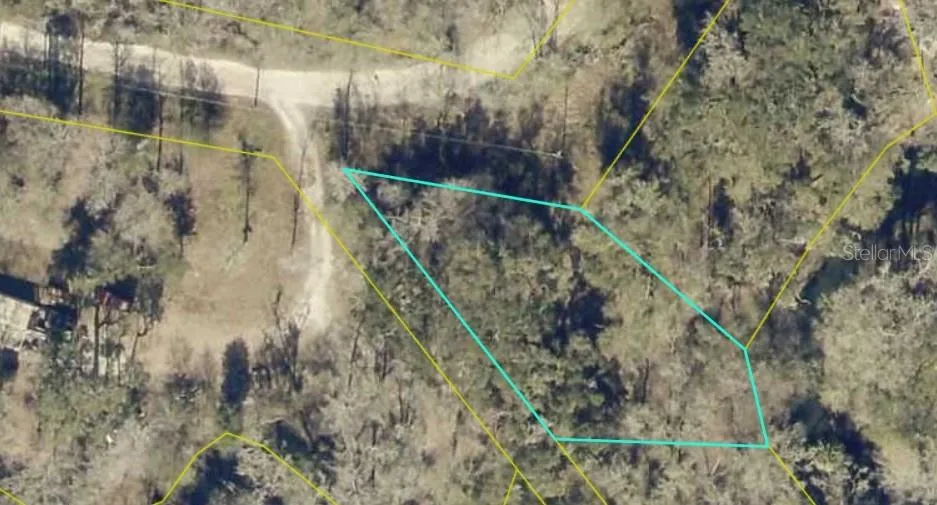 TBD1 SW 129TH BOULEVARD Webster, FL 33597