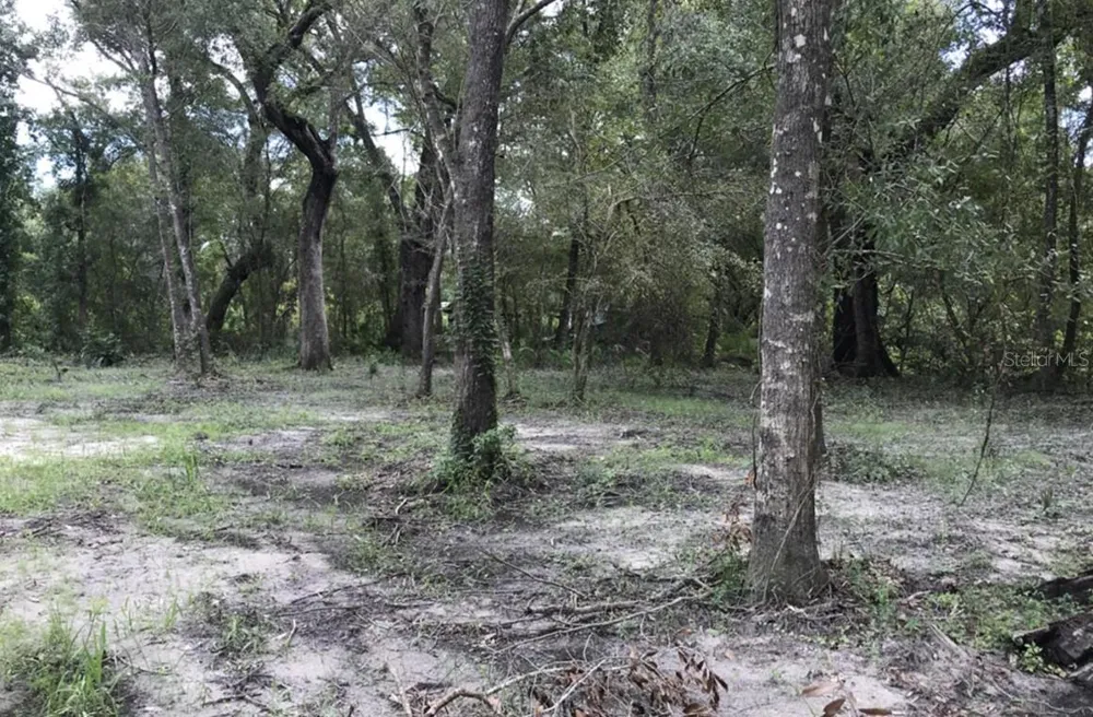 TBD1 SW 129TH BOULEVARD Webster, FL 33597