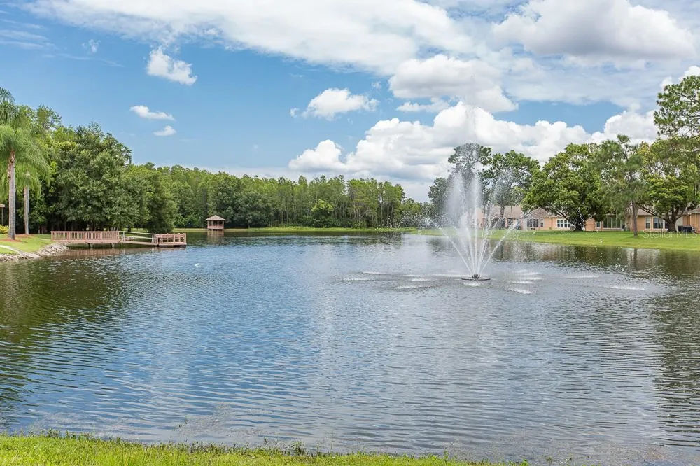 4911 CATHEDRAL COURT New Port Richey, FL 34655