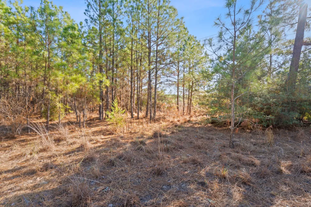 65 State Highway 21 Bastrop, TX 78602