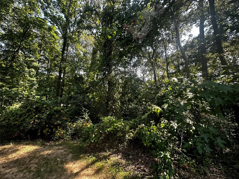 629 Hidden Oaks Drive Point Blank, TX 77364