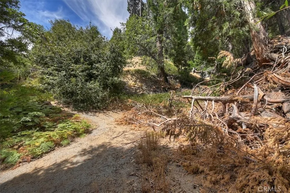 31070 Old City Creek Running Springs, CA 92382