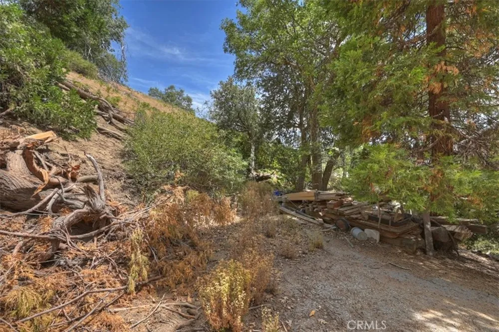 31070 Old City Creek Running Springs, CA 92382