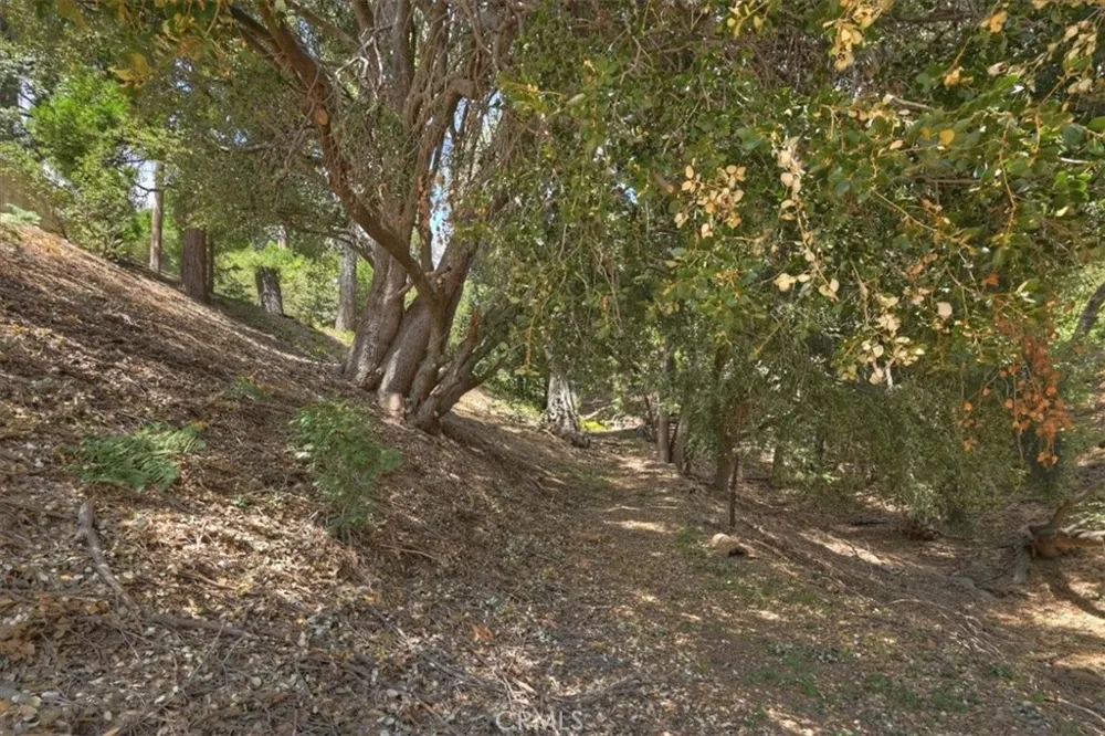 31070 Old City Creek Running Springs, CA 92382
