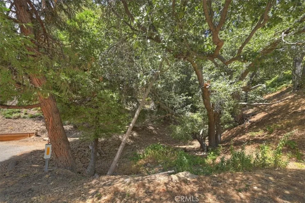 31070 Old City Creek Running Springs, CA 92382