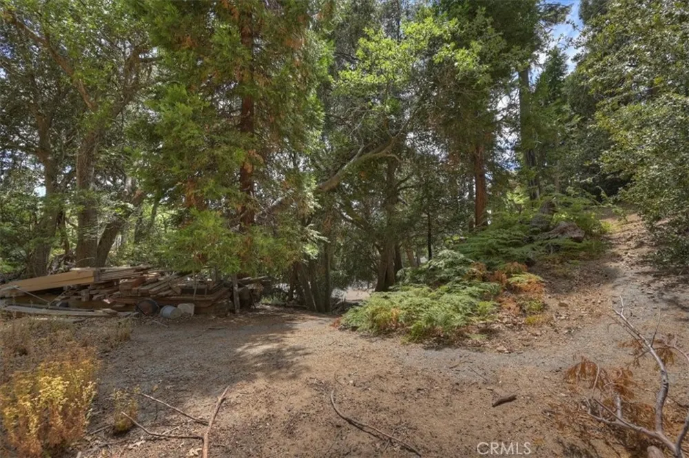 31070 Old City Creek Running Springs, CA 92382