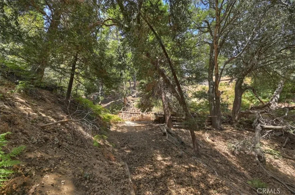 31070 Old City Creek Running Springs, CA 92382