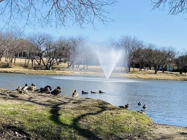 9917 Eddleman Court Fort Worth, TX 76244