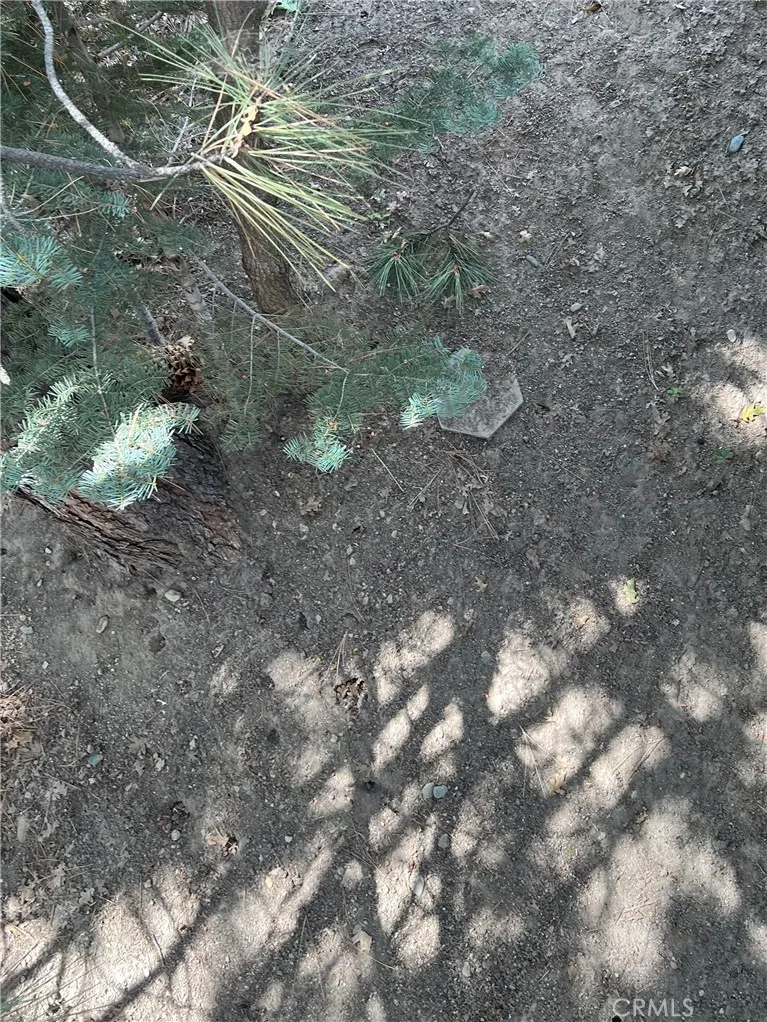 Robin Arrowbear, CA 92382
