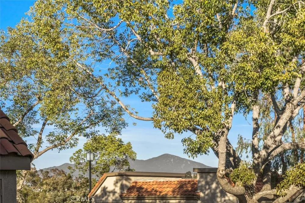28101 Montecito #15 Laguna Niguel, CA 92677