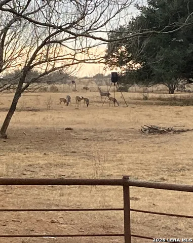 2831 COUNTY ROAD 430 Pleasanton, TX 78064