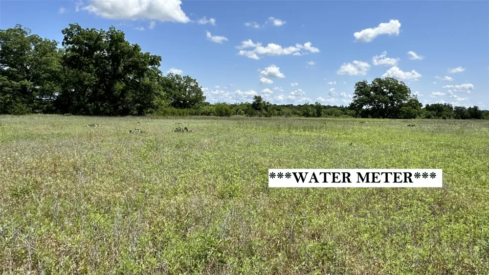 County Road 295 Carbon, TX 76435