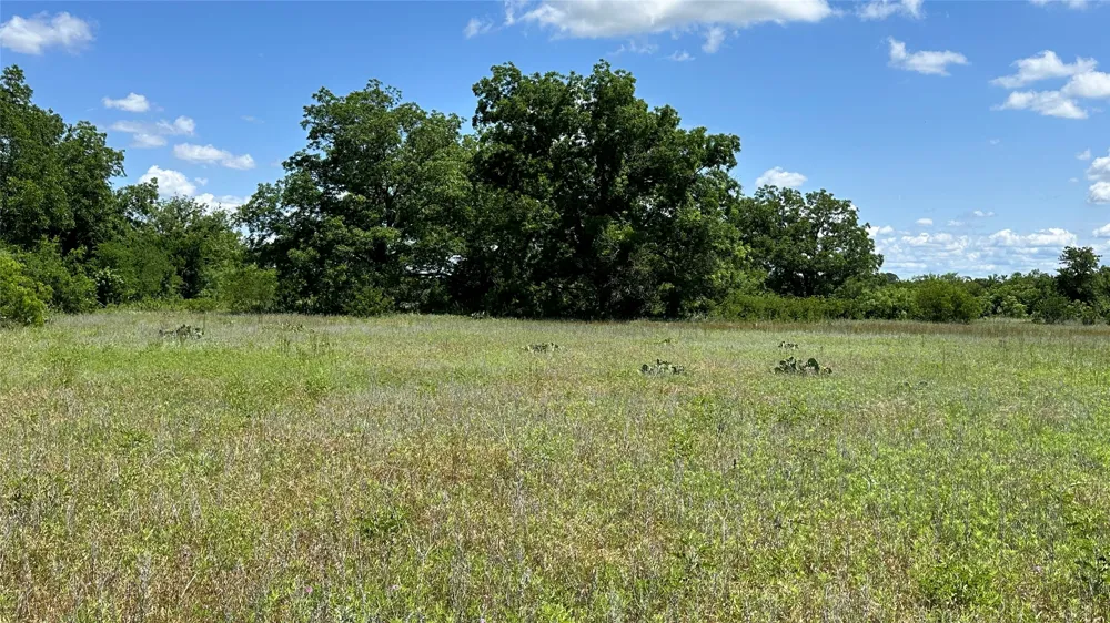 County Road 295 Carbon, TX 76435