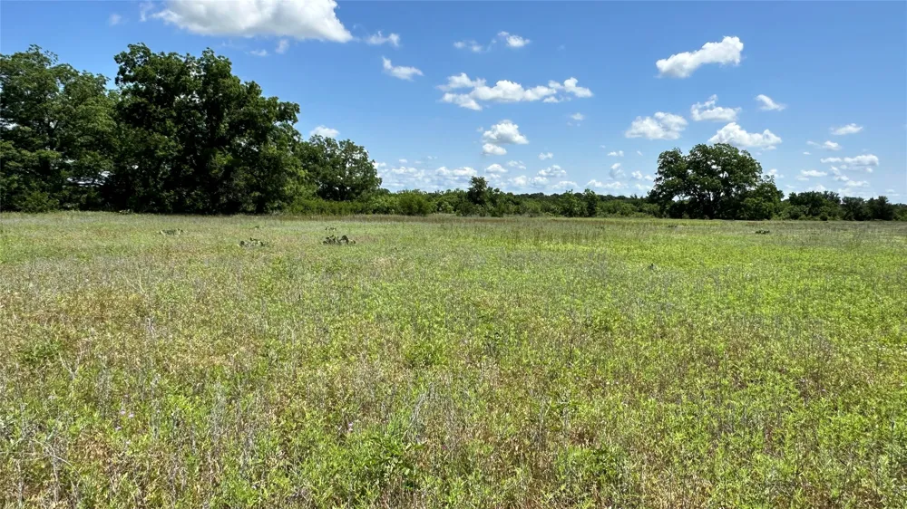 County Road 295 Carbon, TX 76435