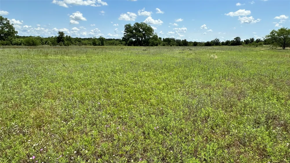 County Road 295 Carbon, TX 76435