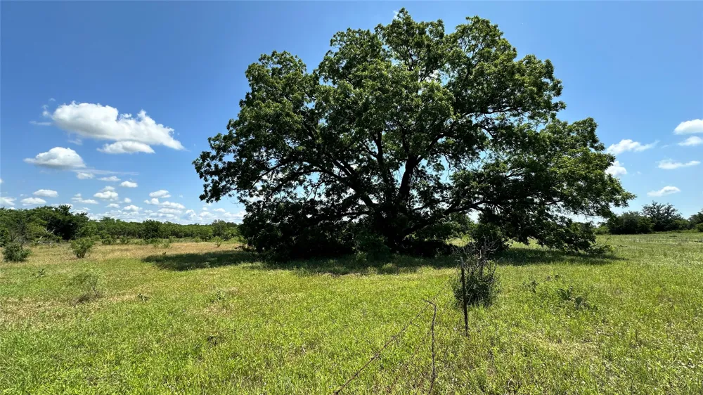County Road 295 Carbon, TX 76435